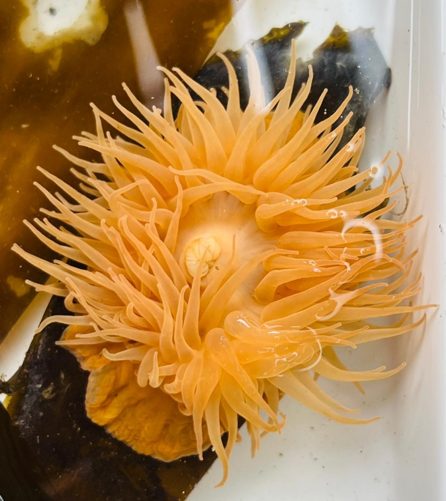 WhatsApp Image 2025-08-19 at 09.35.38.jpeg